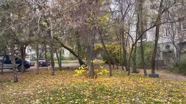 Боль сердца убери, со мной дыши, смело живи!?️✍️??️#цветущийлотыс #послание #Духтелодуша??? смотреть онлайн