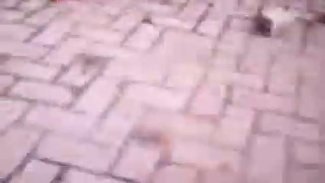 FPV C4005 MJX X600 #1 смотреть онлайн