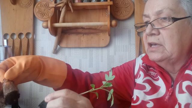 478. Я ругаюсь. смотреть онлайн