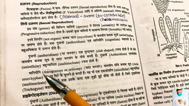 Life cycle of Peziza fungi || Structure and Reproduction in Peziza fungi || B.Sc first year botany смотреть онлайн