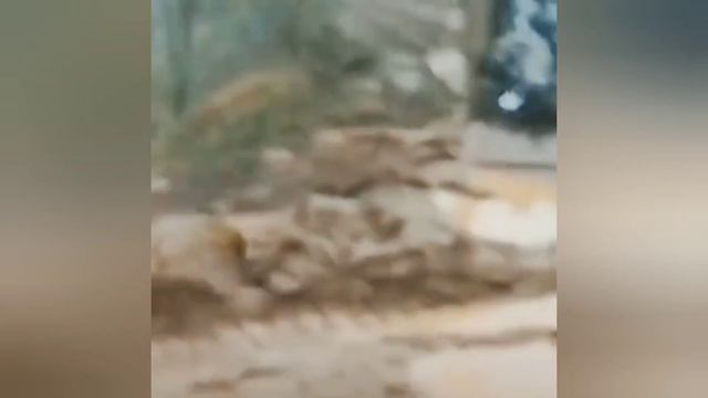 Жесть! застрявший в грязи грузовик с трупами армянских солдат! Оставили и убежали даже тела! смотреть онлайн