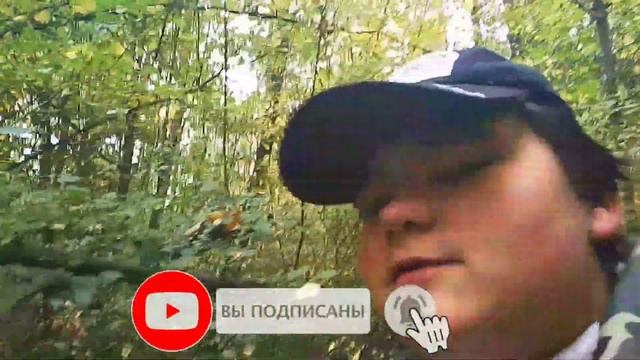 Заснял Рейка В Лесу !!!!! Если бы я это не снял никто бы не поверил !!! смотреть онлайн