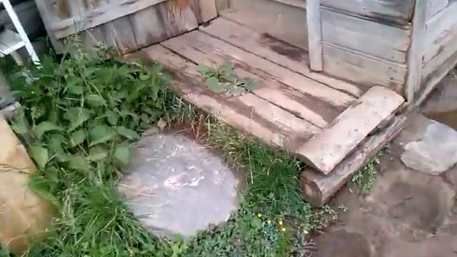 Продолжение рассказа про бессовестных и бесстыжих, которые живут у нас в деревне.