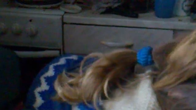 24112011022.mp4 смотреть онлайн