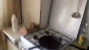 Владислав Родионович спалил кухню. Масло и вода на сковороде