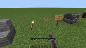 Палочка отладки в Minecraft Bedrock | Обзор аддона