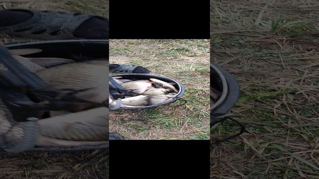 рыбалка удалась