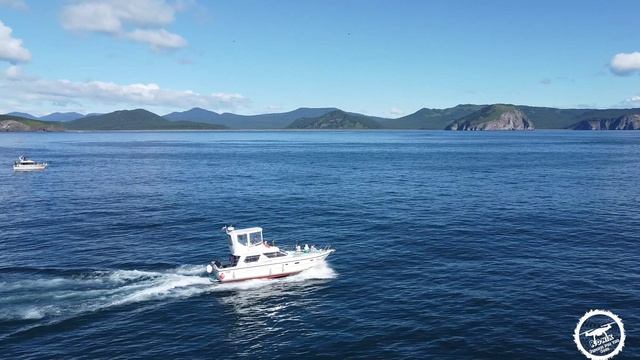 Камчатка август 2020 смотреть онлайн