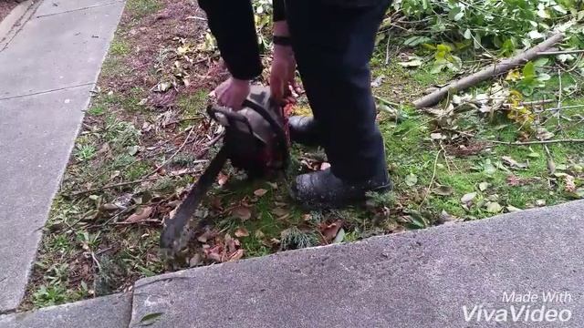 Starting my old Solo 645 chainsaw. смотреть онлайн