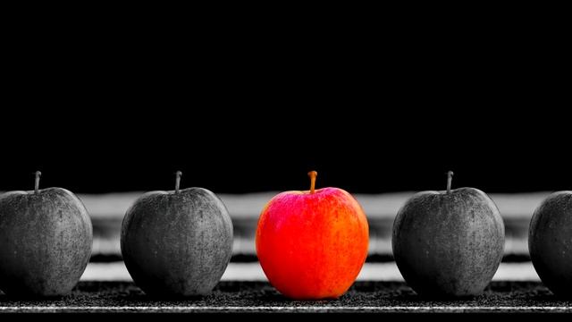 Сделай Себя Профессионалом