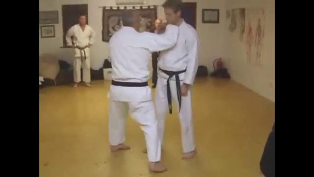 Научиться каратэ / Каратэ приемы для самообороны смотреть онлайн