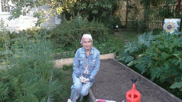 Сеем дайкон смотреть онлайн