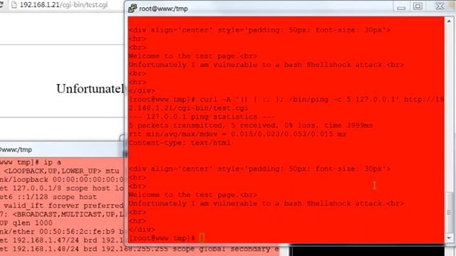 Shellshock Bash Exploit смотреть онлайн
