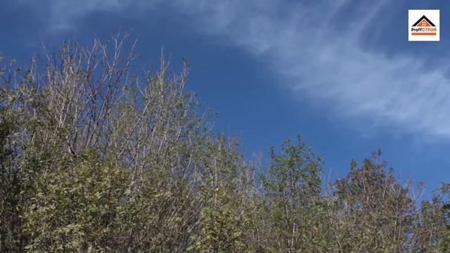 Участки со своим лесочком | Купить участок в Натухаевской | ПрофСтрой смотреть онлайн