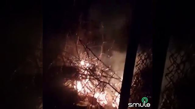 листья жгут в огороде.... смотреть онлайн