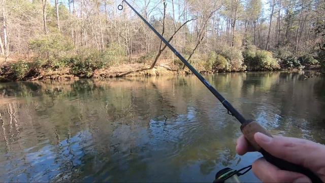 Creek Fishing Georgia Mountains for RAINBOW TROUT!! смотреть онлайн