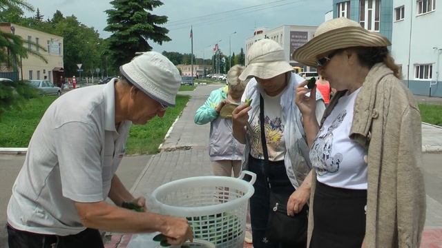 В гости к луховицкому огурцу! Родное Подмосковье смотреть онлайн