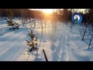 ОХОТА НА ЛУНКАХ * НЕУЛОВИМЫЙ ГЛУХАРЬ