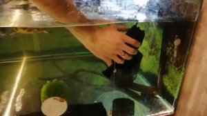 Почему может шуметь фильтр