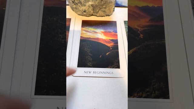 Oracle card pull come see what’s in store! ✨✨✨✨✨✨✨✨✨✨✨✨✨✨✨ смотреть онлайн
