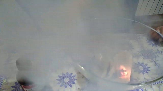 Новый эксперимент с марганцовкой смотреть онлайн