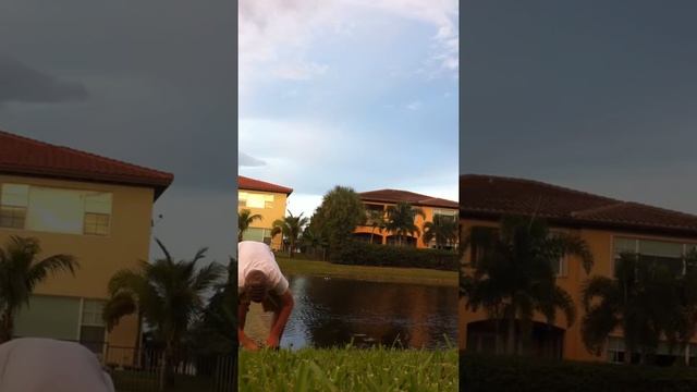 Bass Strike Custom Baits Senko смотреть онлайн