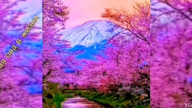 Обновление в WildCraft!!! Что будет в обновлении??? Официальная информация и предположения! смотреть онлайн