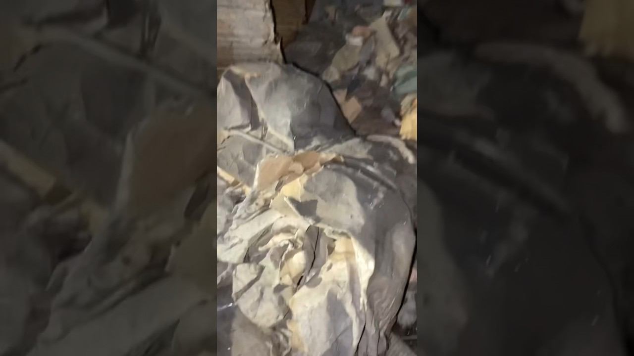 Нашли на заброшенном чердаке сокровище из СССР смотреть онлайн