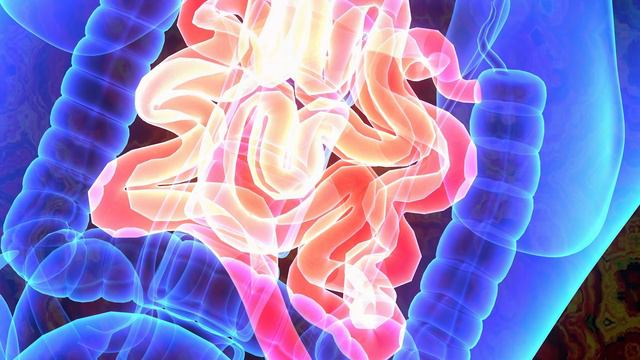 281 Hz - Digital Tuning Fork