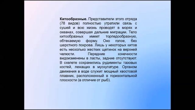 Высшие звери ластоногие и китообразные. Биология 7 класс. смотреть онлайн