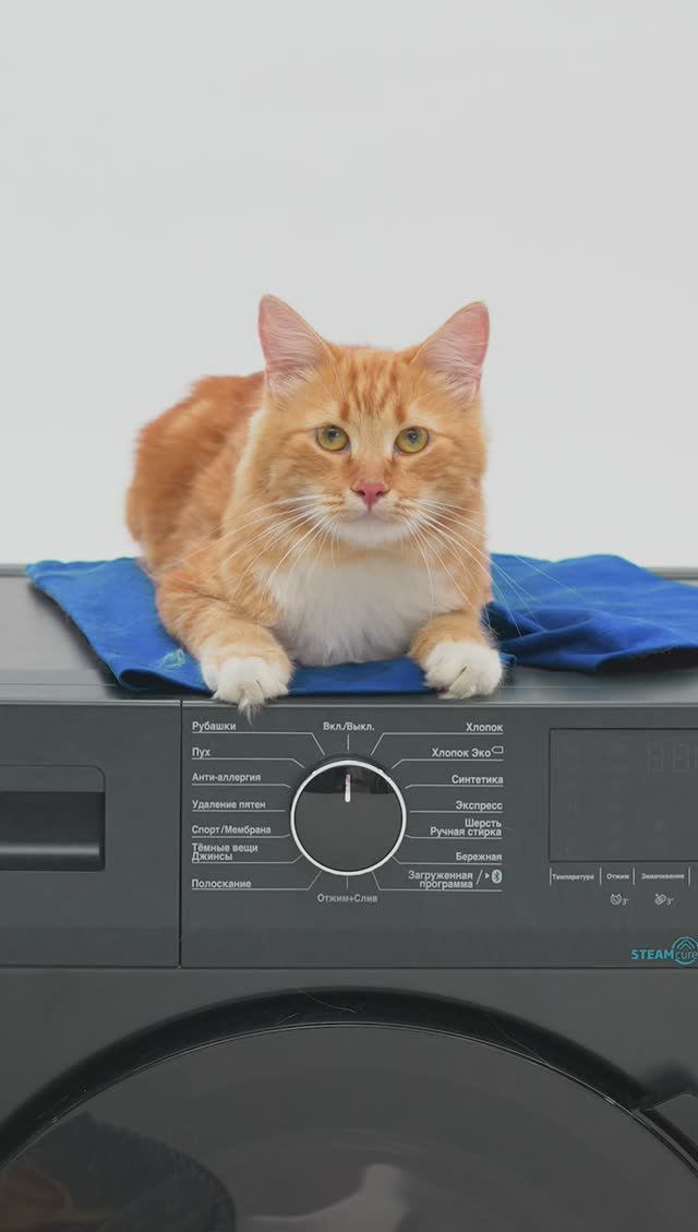 Стиральная машина #Beko WSPE6H616A с технологией SteamCure смотреть онлайн