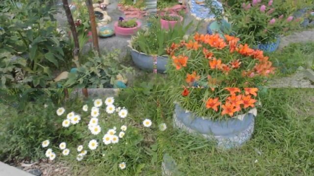 Мой дворик. Мне дорог двор,где я живу! смотреть онлайн