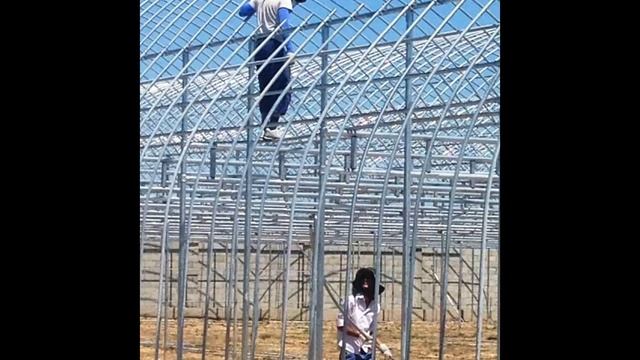 Строительство теплицы в промышленных масштабах в Шымкенте и Казахстане смотреть онлайн