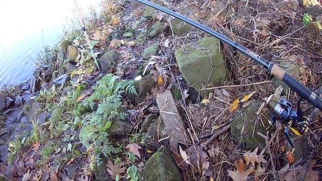 Вот это лещ .Гигант . ЛЕЩАРА ОДНО УДОВОЛЬСТВИЕ ЛОВИТЬ ТАКИХ смотреть онлайн