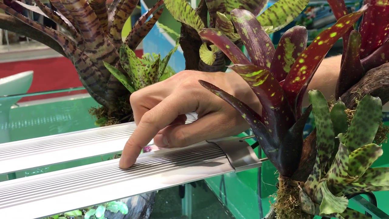 Новинка компании #jbl светильники смотреть онлайн