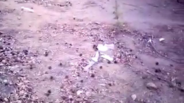 Утро 17.05.2021 в лесу. Трасса рядом с г. Чита смотреть онлайн