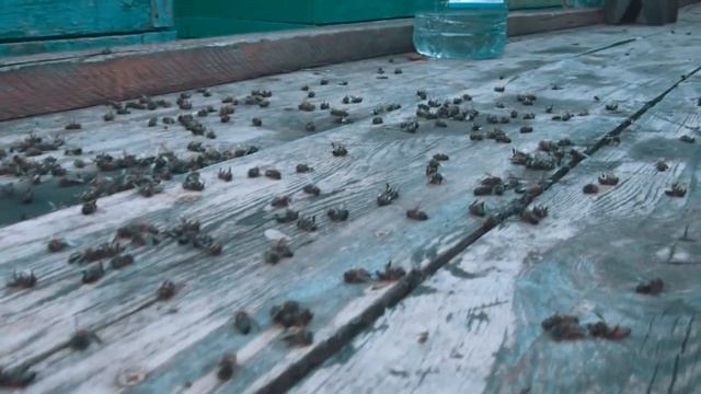 Беспредел в Киквидзенском районе. смотреть онлайн