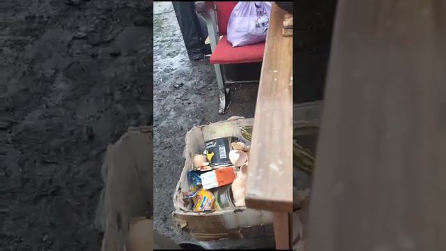 24 декабря 2023 г. смотреть онлайн