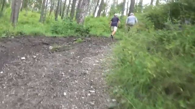 Чиновникам нужен был лес, а не строительство Селигура смотреть онлайн