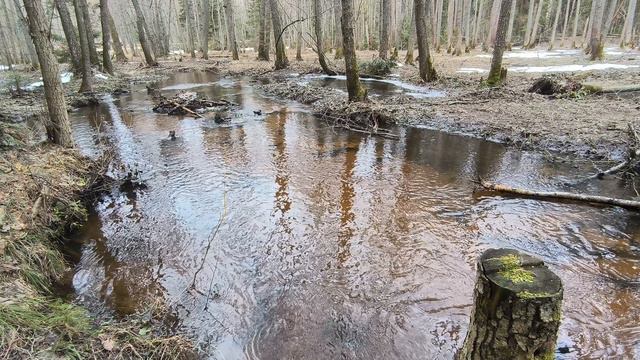 Река Страдинка. ч.2. Апрель 2024 смотреть онлайн