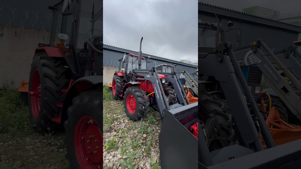 Беларус-1221 выбирает Турс #фермер #tractor #farmer #новыйбеларус #agriculture #shorts смотреть онлайн
