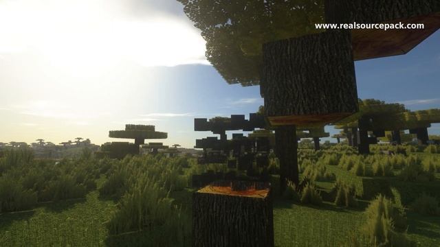 RealSource RTX pack on Minecraft JAVA with SEUS shader смотреть онлайн