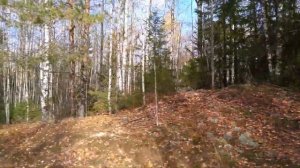 Поездка на мотоблоке по болоту (зимнику) с грузом 450 кг