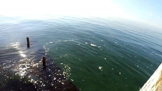 МОТИВАЦИЯ к ПОХУДЕНИЮ ДОБРОМ бесплатно дома без диет ЛАЙФХАК для худеющих смотреть онлайн