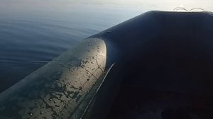 Ловля раков на раколовки . Какая раколовка лучше . Китайские раколовки . Ловля раков 2024 . Раки .