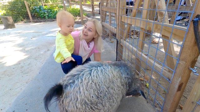 ШАРЛОТТЕ ПРИСНИЛСЯ СОН!ОНА С МАМОЙ ХОДИЛА В ГОСТИ К ЖИРАФАМ!ВИДЕЛАСЬ С РАЙСКИМИ ПТИЧКАМИ И НЕ ТОЛЬК смотреть онлайн