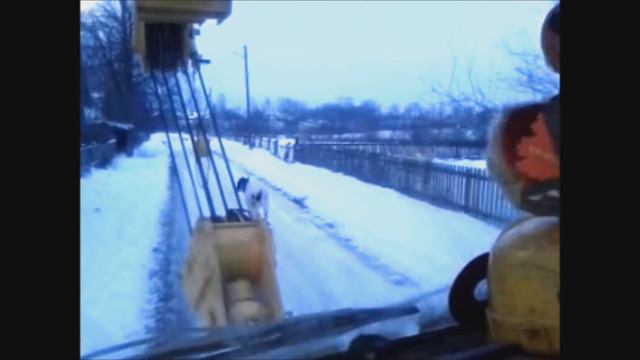 Бык против автокрана смотреть онлайн