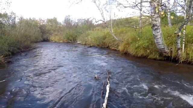 Рыбалка на ХАРИУСА Осенью. / Речушка в ТАЙГЕ/ Проверили Новый буреломный УЧАСТОК/ По счетчику 15 км смотреть онлайн