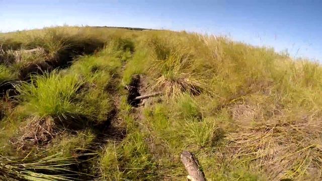 Рыбалка в осенний день. Щука. Сумбур. Много слов, мало движухи. смотреть онлайн