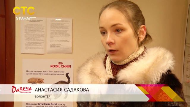 Собаку выбросили на улицу смотреть онлайн